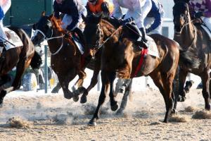 Des nouvelles des jockeys blessés mercredi à Deauville