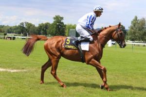 Prix Max Sicard (L) : Satanicjim doubles up