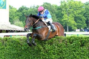 Le transfert des réunions d’Enghien au 1er semestre : calendrier, parcours et travaux Le transfert des réunions d’Enghien au 1er semestre : calendrier, parcours et travaux