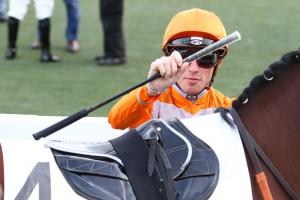 New whip rules apply in France from Feb 1st