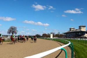 New information system on the condition of the fiber sand tracks at Chantilly and Deauville