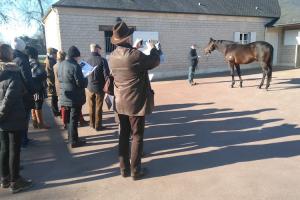 Les nouveaux propriétaires sur la Route des Etalons Les nouveaux propriétaires sur la Route des Etalons