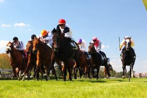 Entries of 1st Optional Handicap