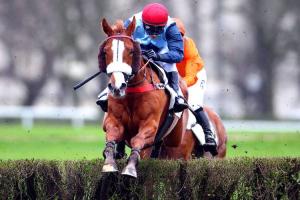 Forthing wins Pau top hurdle race two weeks after Grand Prix