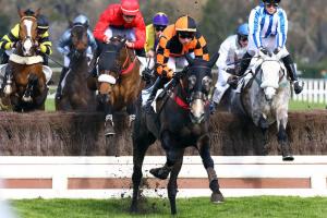 Bon Augure back in winners enclosure