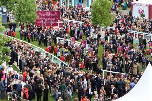 EpiqE Series : bilan et perspectives EpiqE Series : bilan et perspectives