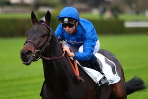 Cloth of Stars returns home