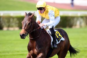 Evabienchope wins Prix du Début Kendargent for new race sponsor
