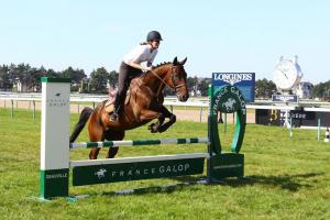 Planning des journées de la reconversion des chevaux de course Planning des journées de la reconversion des chevaux de course