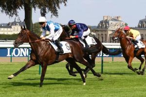 Chantilly for more clues