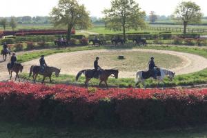 Le parrainage en action à Senonnes et Châteaubriant Le parrainage en action à Senonnes et Châteaubriant