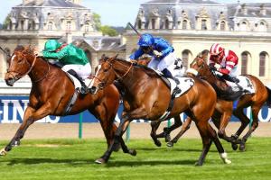 New winners weekly (April 10-16)