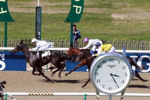 The new winners weekly