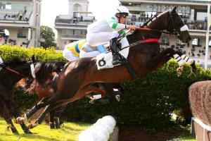 New order rules Auteuil
