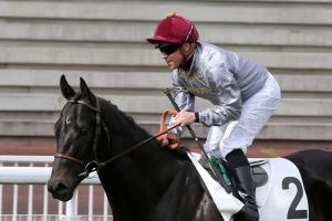 Le français Al Wukair 3ème des Deux Mille Guinées à Newmarket