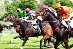 Grand Steeple weekend on its way !