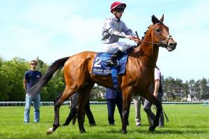 12 runners in QIPCO Prix du Jockey Club