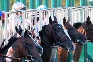 L'Abu Dhabi Poule d'Essai des Pouliches par les chiffres