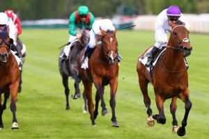 Découvrez les favoris de l'Abu Dhabi Poule d'Essai des Poulains