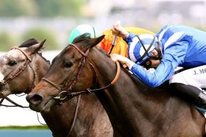 Maiden winners weekly (May 9th to 14th)