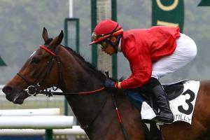 Maiden winners weekly May (2th-8th)