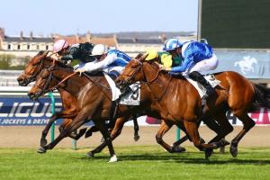 The other French Oaks