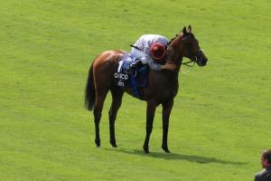 French Ratings : The Poules d'Essai still set the standard