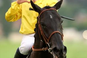 16 start in Prix de Diane Longines