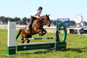 Solow and Cirrus des Aigles star at retrained racehorse day