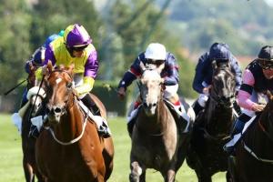 Brando leads British team home