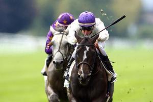 Maiden winners weekly (11-24/9)