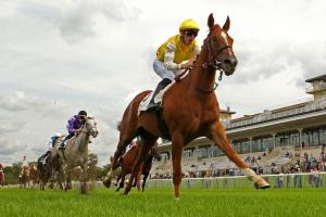 Maiden winners weekly (Aug28-Sept10)