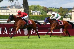 Bateel mène un trio Dubawi dans le Qatar Vermeille