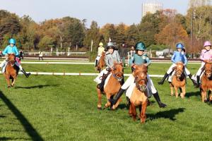 Autour des 48 heures de l'obstacle... Autour des 48 heures de l'obstacle...