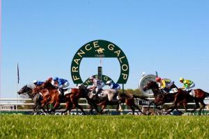 Le plan d’économies 2018 à France Galop adopté à l’unanimité Le plan d’économies 2018 à France Galop adopté à l’unanimité