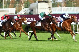 Maiden winners weekly (Sept.25-Oct 1st)