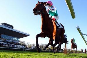Prix Royal-Oak : Ice Breeze, au nom des siens Prix Royal-Oak : Ice Breeze, au nom des siens