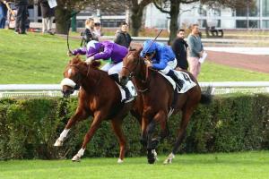 French maiden winners Weekly (Oct.23-29)