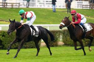 French Maiden Winners Weekly (Nov. 13-19)