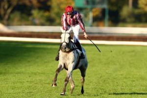 Bipolaire et l'écurie Macaire en vedette à Auteuil Bipolaire et l'écurie Macaire en vedette à Auteuil