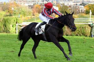 Récital de De Bon Coeur, festival de François Nicolle Récital de De Bon Coeur, festival de François Nicolle