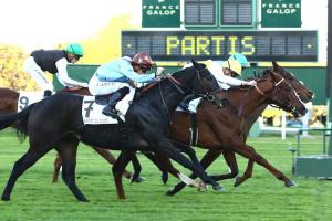 French Maiden Winners Weekly (Nov. 6-12)