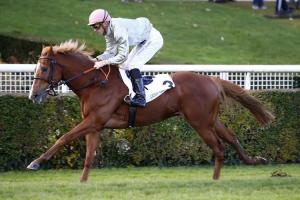 French Maiden Winners Weekly (Nov. 20-26)