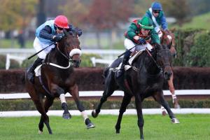 Alex de Larredya seul au pouvoir Alex de Larredya seul au pouvoir