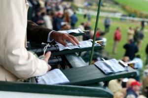 Découvrez le Blog des handicapeurs Découvrez le Blog des handicapeurs