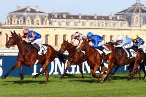 French Maiden Winners Weekly (Oct 31)