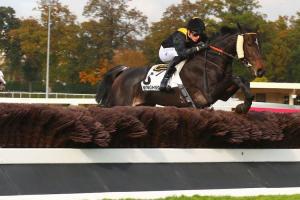 Beau week-end outre-Manche pour les sauteurs français