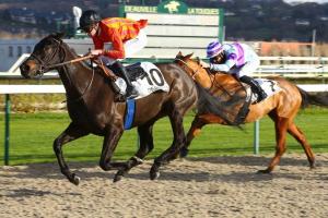 French Maiden Winners Weekly (Dec.11th-31st)