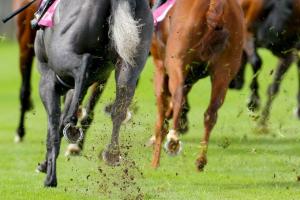 Top Racing in France : What's up in 2018? Top Racing in France : What's up in 2018?