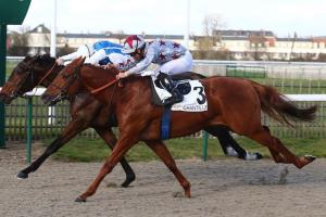 French Maiden Winners in January French Maiden Winners in January